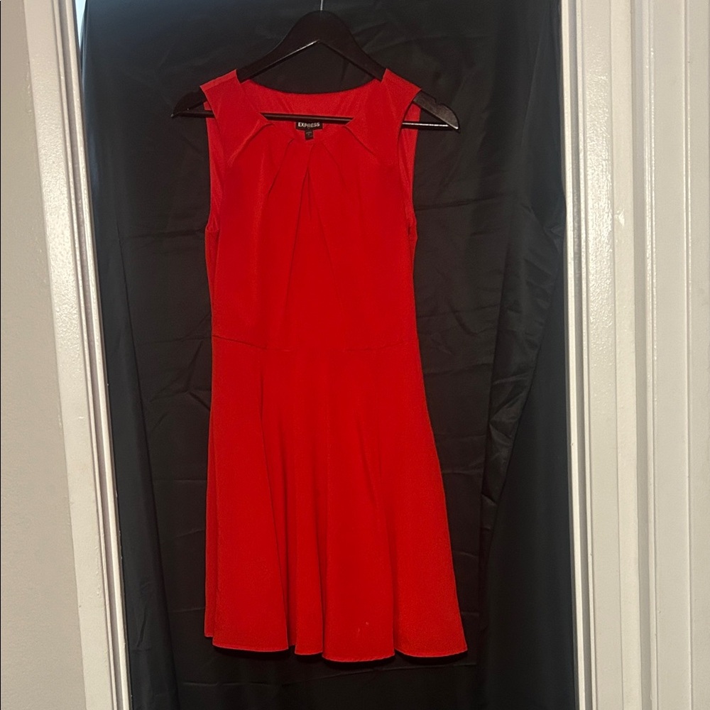 Express Bold Red Sleeveless Mini Dress